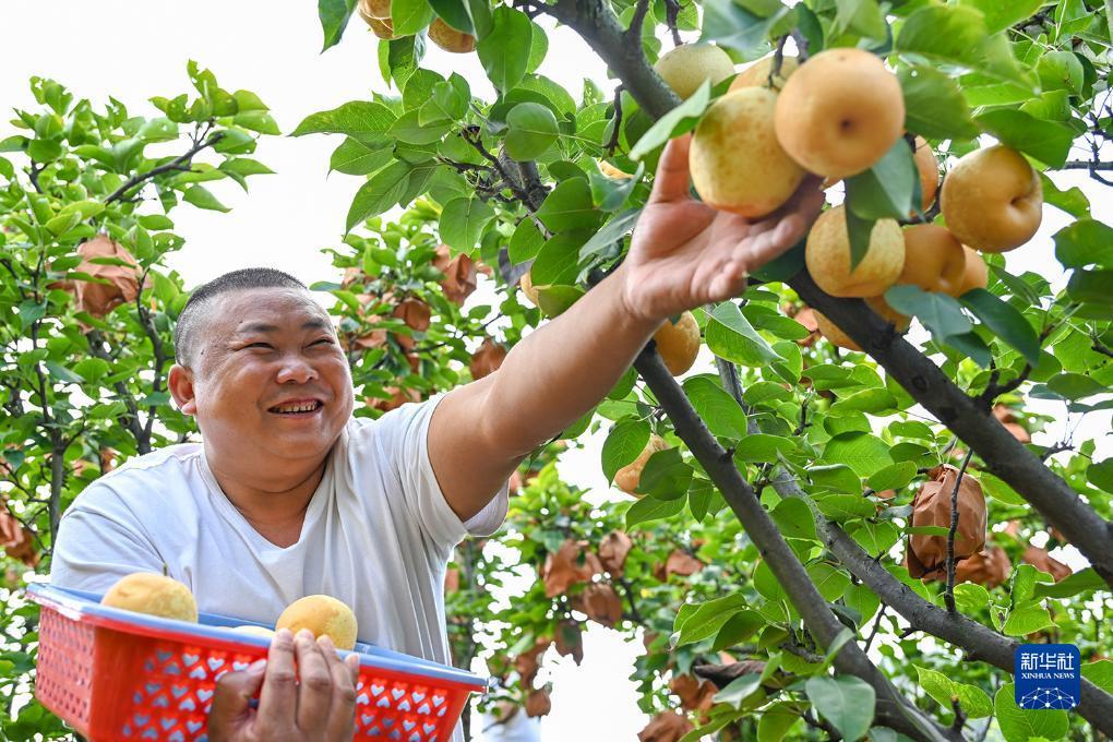 我是皇易乐游